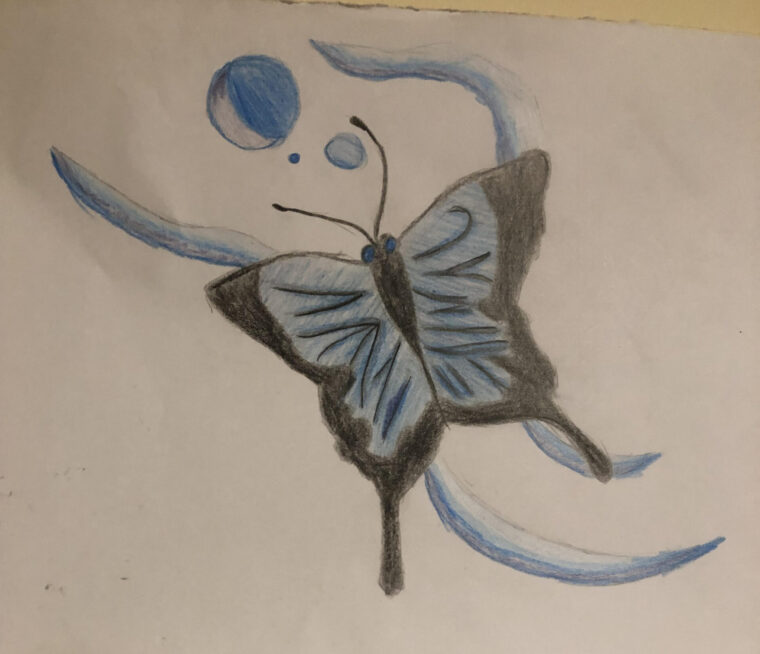 Drew Buttefly