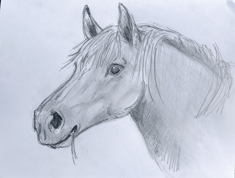 drawing paper