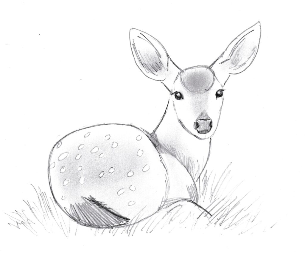 drawing